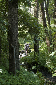 Bikeři v Křivoklátsku