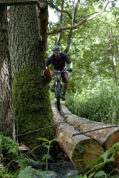 Bikeři v Křivoklátsku