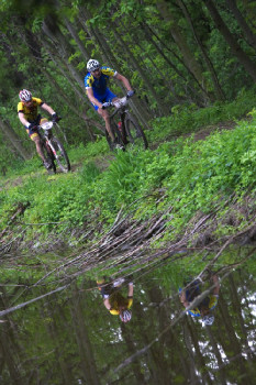 Author Šela Marathon