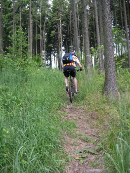 Bikeři v Křivoklátsku