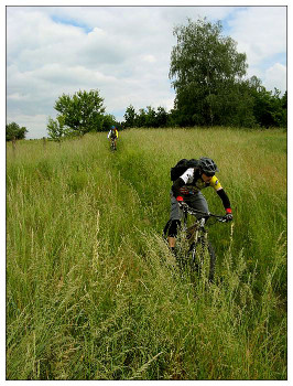 Bikeři v Křivoklátsku