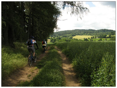 Bikeři v Křivoklátsku