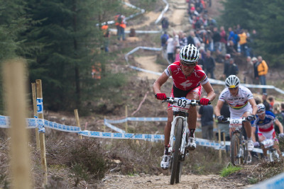 Burry Stander na 29" biku