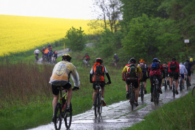 Author Šela Marathon