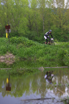 Author Šela Marathon