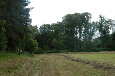 Bikeři v Křivoklátsku