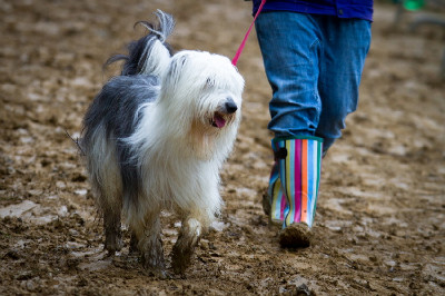 united colours of Maribor