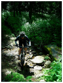 Bikeři v Křivoklátsku