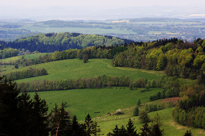 Slavnosti Singltreku pod Smrkem 2010