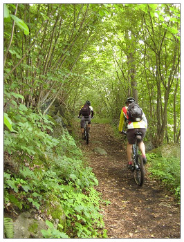 Bikeři v Křivoklátsku