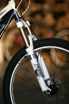 Specialized Safire Comp