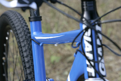 Giant Anthem X2 preview