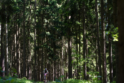 Mary McConnelough na Vysočině