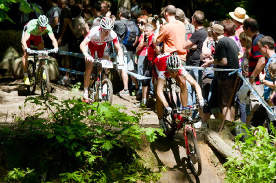 Skupinka Sauser, Vogel, Fontana