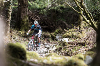 Cadabra "on the trail" TEST 