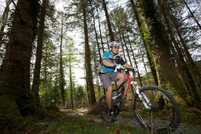 Cadabra "on the trail" TEST 