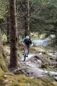 Cadabra "on the trail" TEST 