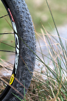 Cadabra "on the trail" TEST 