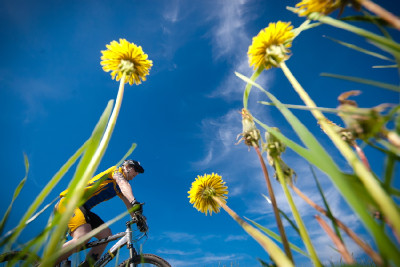 maratonská idilka na Vysočině