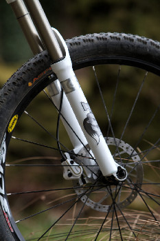 Cadabra "on the trail" TEST 