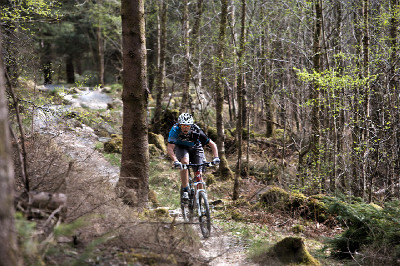 Cadabra "on the trail" TEST 