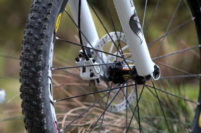 Cadabra "on the trail" TEST 