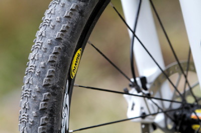 Cadabra "on the trail" TEST 