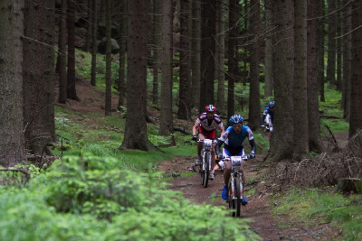 nebezpečí číhalo za každým kořenem