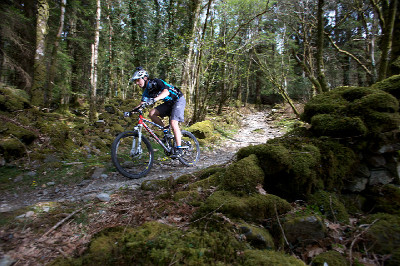 Cadabra "on the trail" TEST 