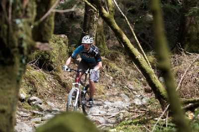 Cadabra "on the trail" TEST 