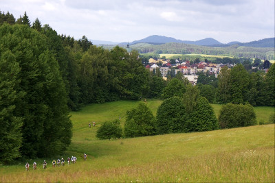 Špička závodu nedaleko Jablonného