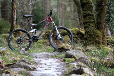 Cadabra "on the trail" TEST 