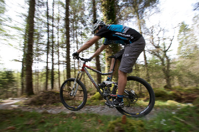 Cadabra "on the trail" TEST 