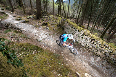 Cadabra "on the trail" TEST 