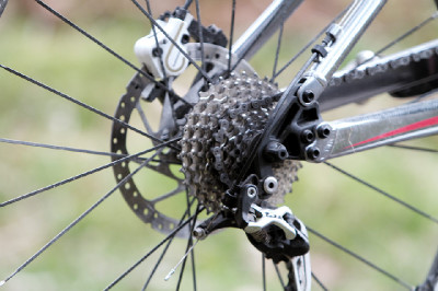 Cadabra "on the trail" TEST 