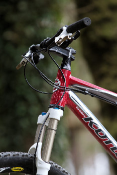 Cadabra "on the trail" TEST 