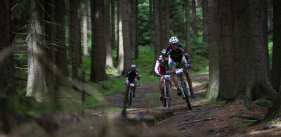 Jobánek, Novotný, Rybařík