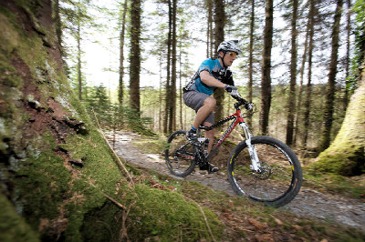 Cadabra "on the trail" TEST 