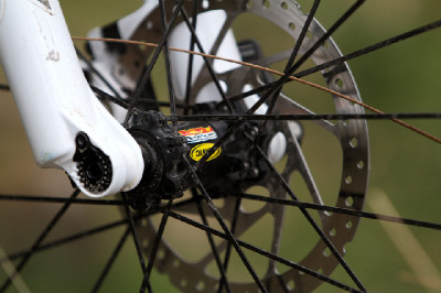 Cadabra "on the trail" TEST 