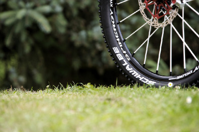 El Guapo - endurko jak má být