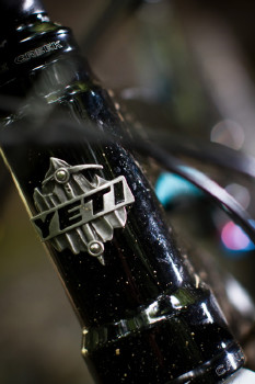 Mohutný znak na hlavě