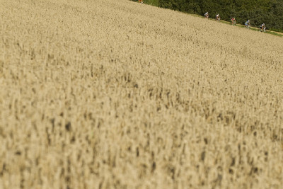 Mistrovství světa v MTB Maratonu 2010