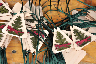 Erzgebirgs-Bike-Marathon 2010