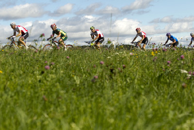 Huber, Stander, Naef, Sauser