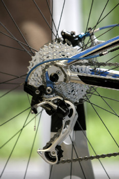 Giant 29" 2011 obrazem