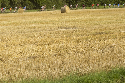 Mistrovství světa v MTB Maratonu 2010