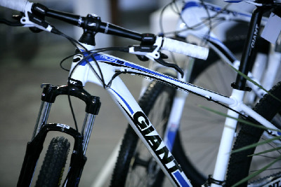 Giant 29" 2011 obrazem