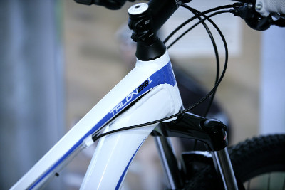 Giant 29" 2011 obrazem