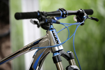 Giant 29" 2011 obrazem