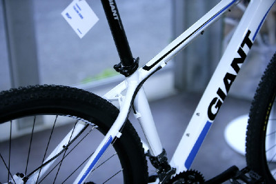 Giant 29" 2011 obrazem
